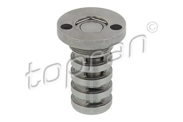 TOPRAN 113724001 Eksantrik Kumanda Valfi 06H109257C resmi