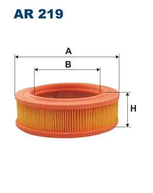 FILTRON AR219 Hava Filtresi resmi