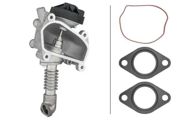 HELLA 6NU014864-641 EGR Valfi A6110900954 resmi