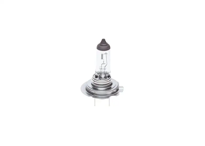 BOSCH 1987302091 Ampül resmi