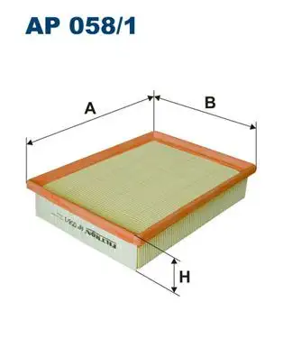 FILTRON AP058/1 Hava Filtresi resmi