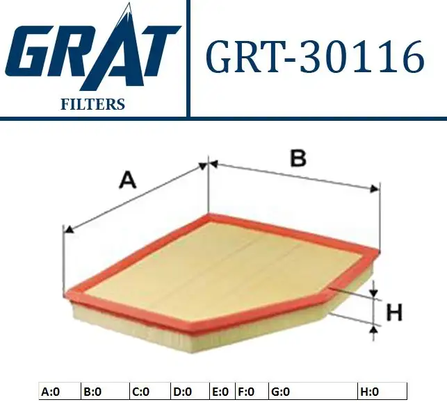 GRAT 30116 Hava Filtresi 13717521023 resmi