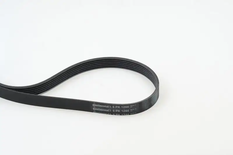 CONTITECH 6PK1244 Kayış resmi