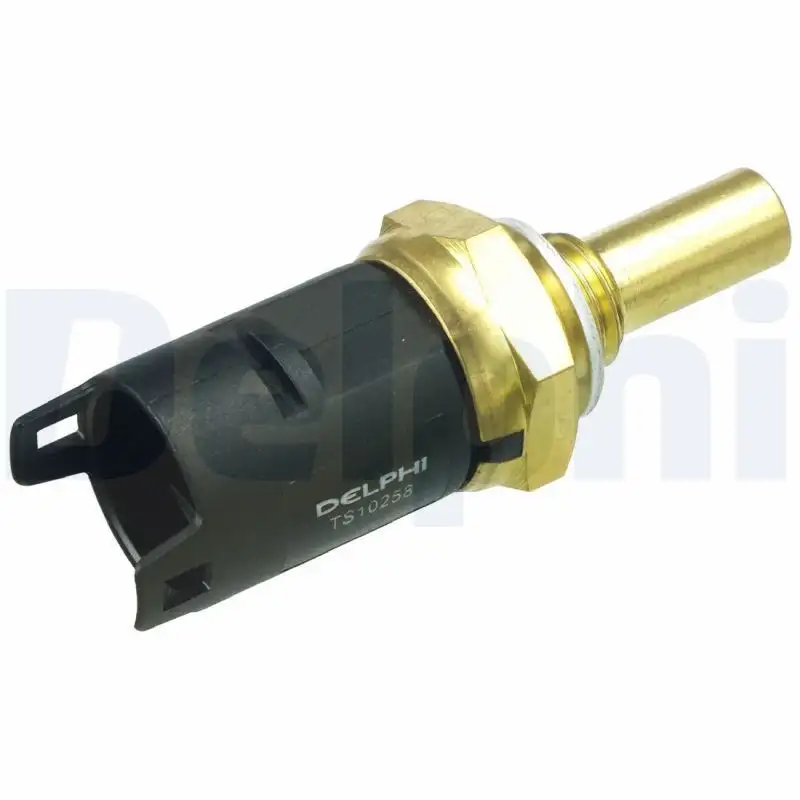 DELPHI TS10258 Hararet Müşiri MEK000020 resmi