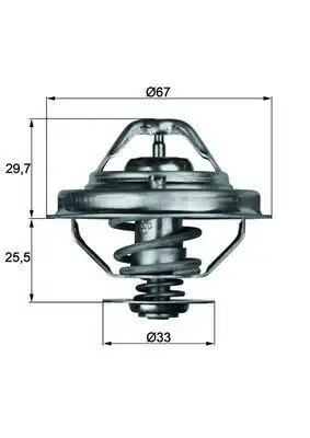MAHLE TX3880D Termostat resmi