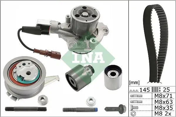 INA 530065030 Triger Seti ve Devirdaim resmi