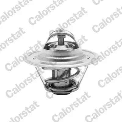 CALORSTAT VERNET TH6276.87 Termostat resmi