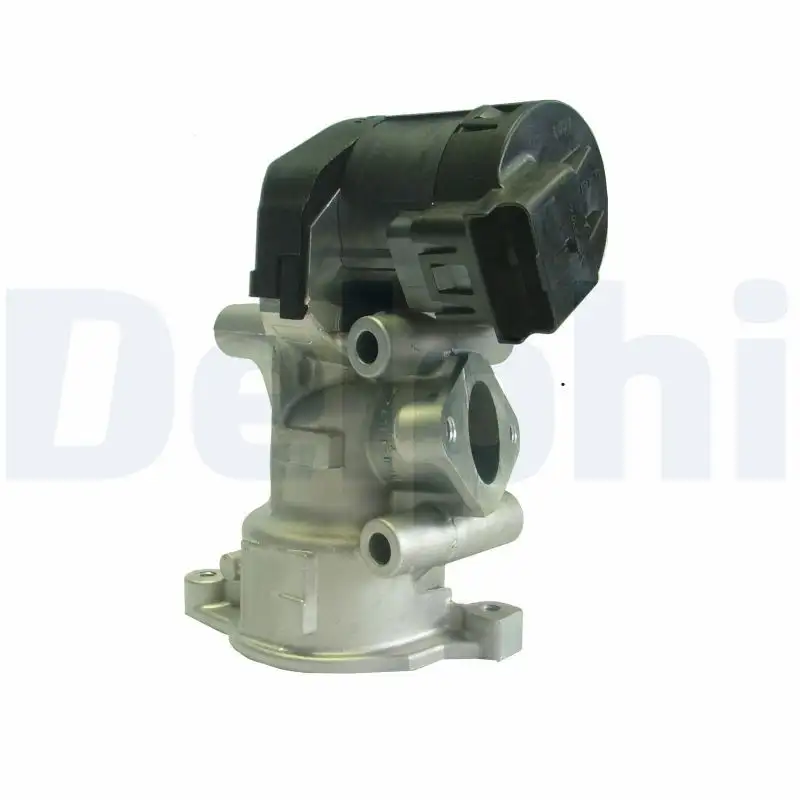 DELPHI EG10396-12B1 EGR Valfi resmi
