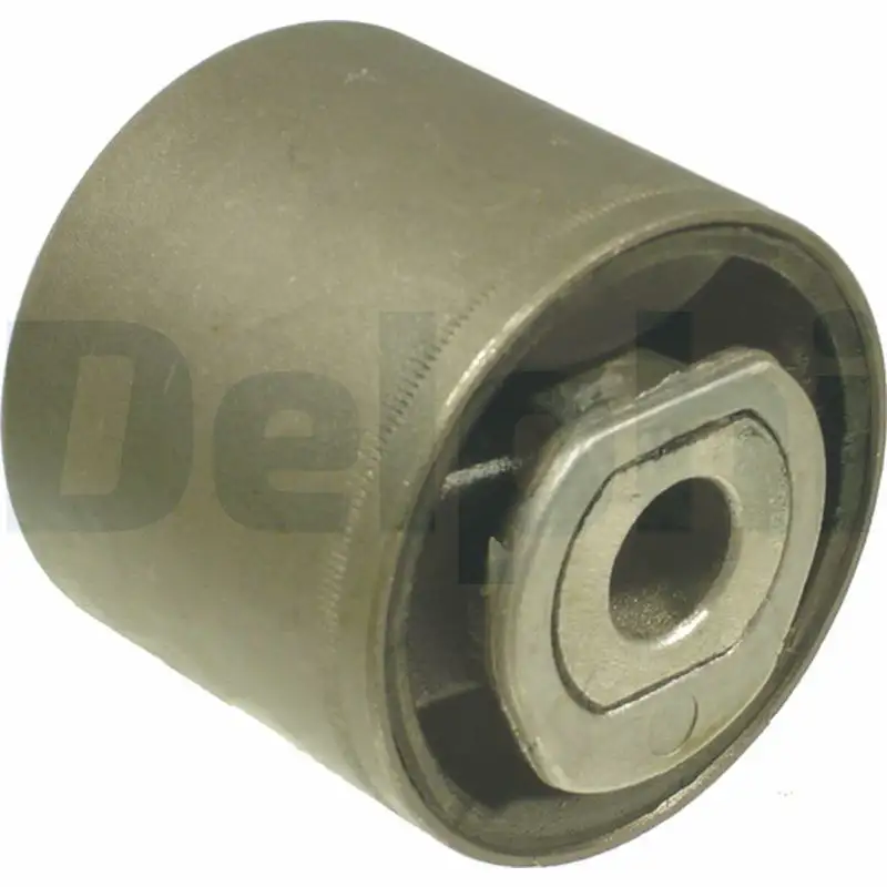 DELPHI TD310W Salıncak Burcu resmi
