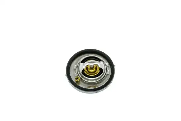 AISIN THRAZ-7031 Termostat resmi