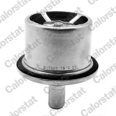CALORSTAT VERNET THS19099.87 Termostat resmi