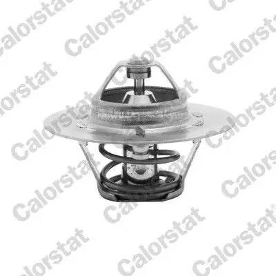 CALORSTAT VERNET TH4608.80 Termostat 113095090 resmi