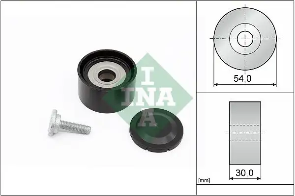 INA 532023410 Alternatör Gergi Rulmanı resmi
