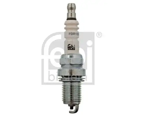 FEBI 13424 Buji resmi