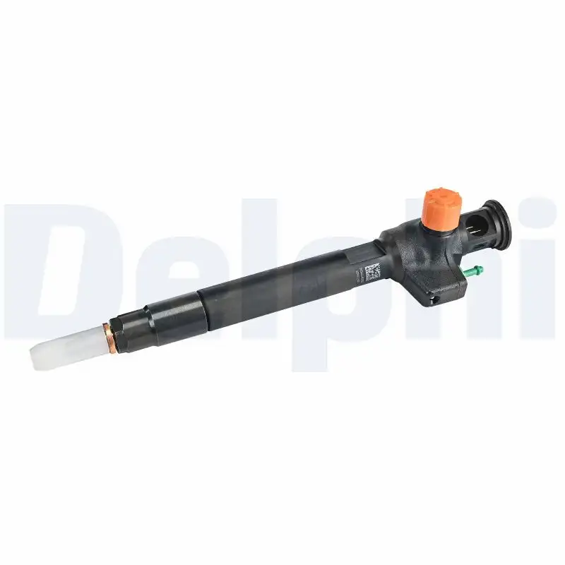 DELPHI 28602948-12B1 Enjektör resmi