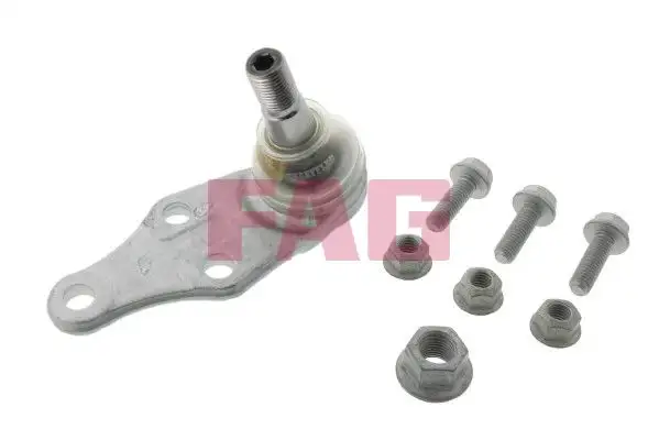 FAG 825006510 Alt Rotil RBJ102930 resmi
