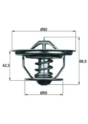 MAHLE TX3579 Termostat resmi