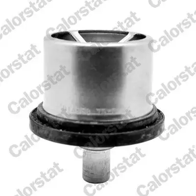 CALORSTAT VERNET THS16958.76 Termostat resmi