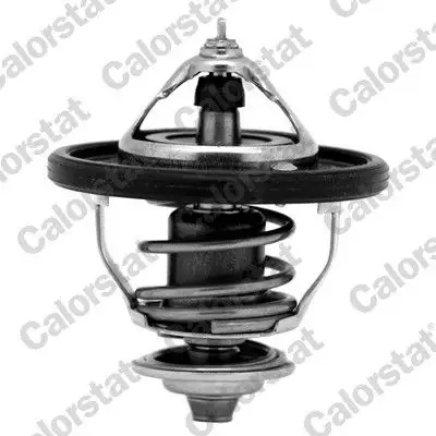 CALORSTAT VERNET TH7354.88J Termostat 255002E000 resmi