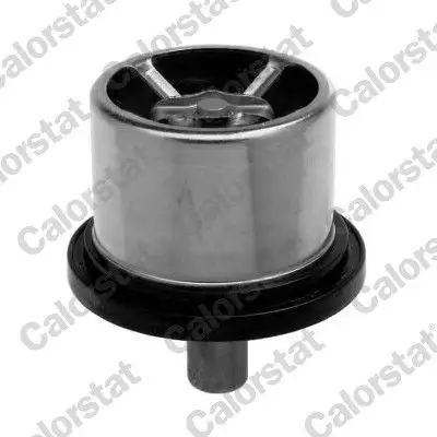 CALORSTAT VERNET THS16953.86 Termostat resmi
