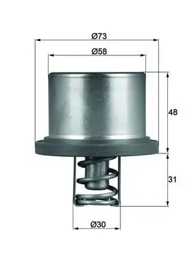 MAHLE THD289 Termostat 94810612501 resmi