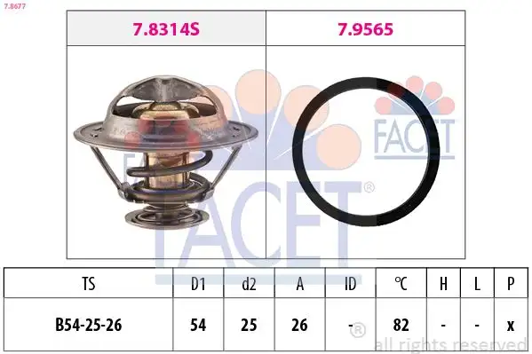 FACET 7.8677 Termostat 133890 resmi