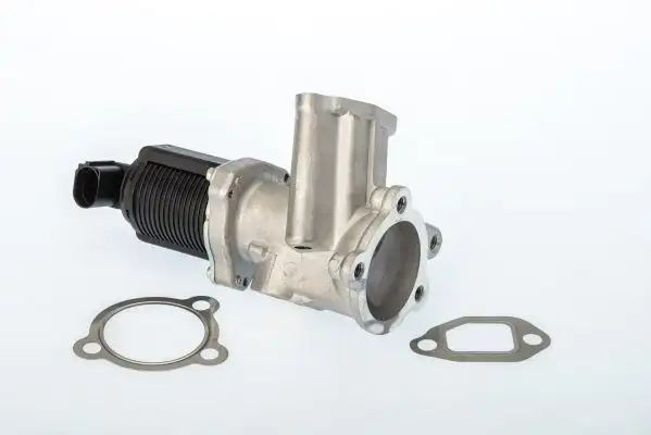 WAHLER 710949D EGR Valfi 55219498 resmi