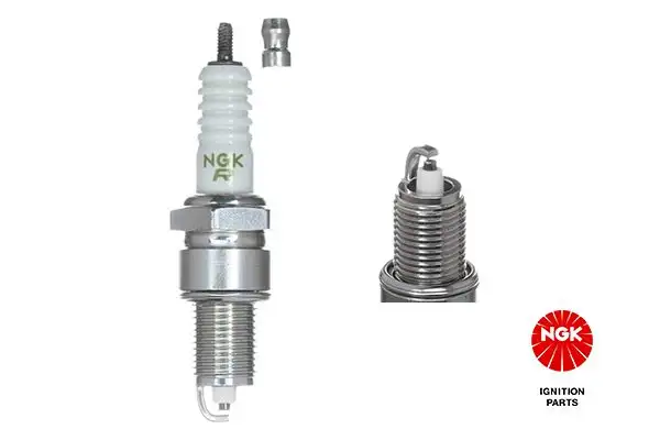 NGK 2941 (ZGR5A) Buji resmi