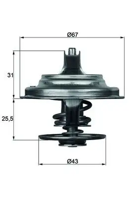 MAHLE TX2379D Termostat resmi
