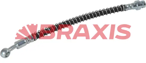 BRAXIS AH0719 Ön Fren Hortumu 587310X000 resmi