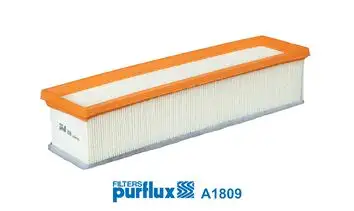 PURFLUX A1809 Hava Filtresi A6260940004 resmi