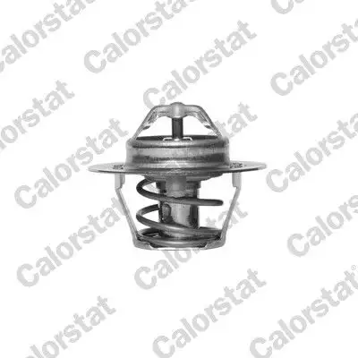 CALORSTAT VERNET TH5977.88J Termostat resmi