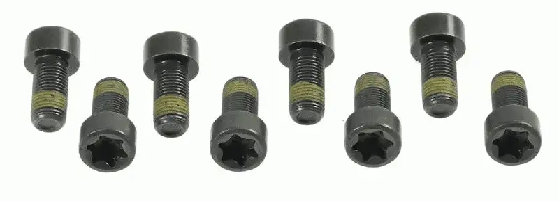 SACHS 1874000006 Volant Civatası A6689900012 resmi