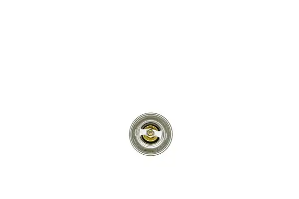 AISIN THRAZ-7004 Termostat resmi