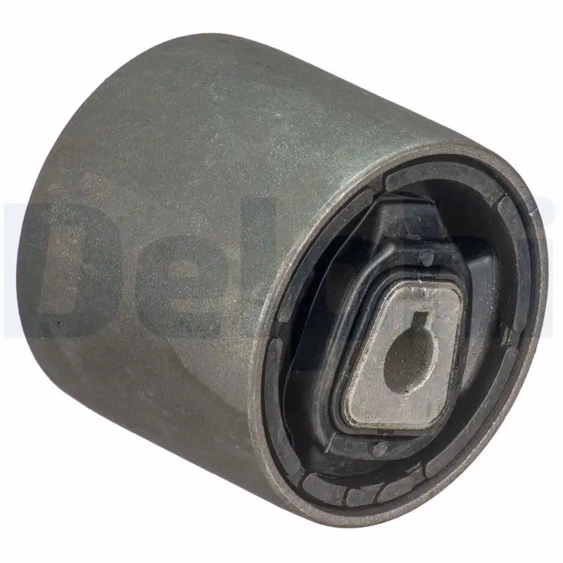 DELPHI TD1735W Salıncak Burcu 31126768818 resmi