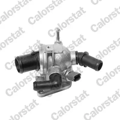 CALORSTAT VERNET TH6981.88J Termostat resmi