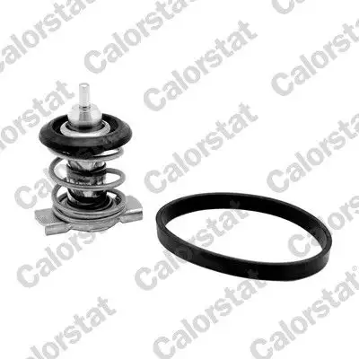 CALORSTAT VERNET TH9200.88J Termostat resmi