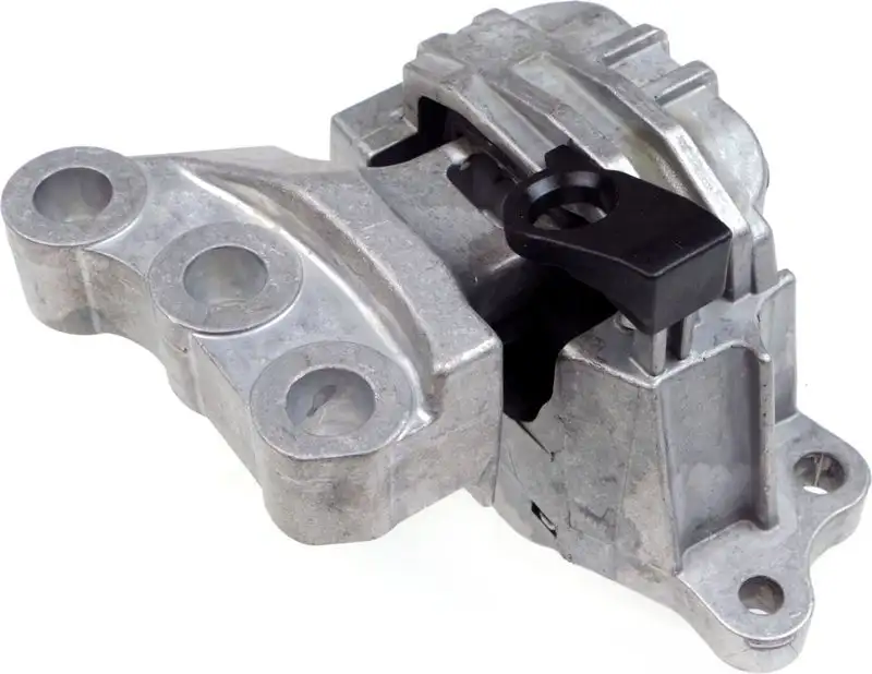 RAPRO R54346 Motor Takozu (Sağ) 51983865 resmi