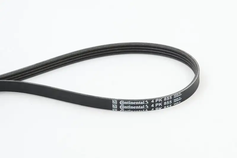 CONTITECH 4PK855 Kayış resmi