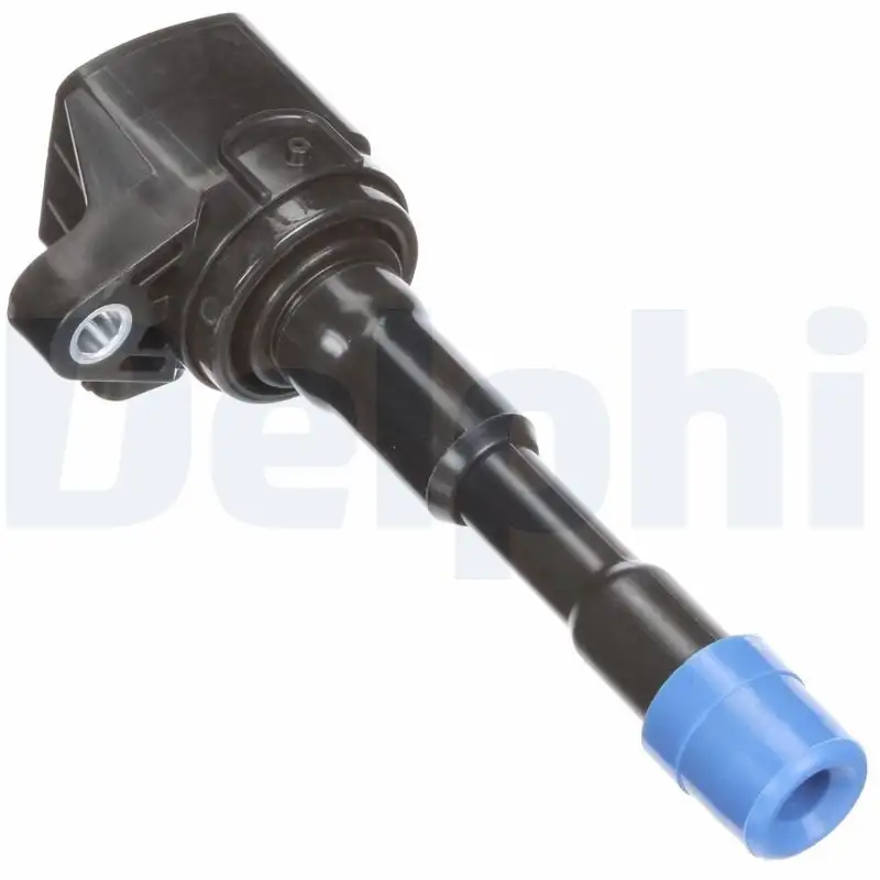 DELPHI GN10248-12B1 Bobin resmi