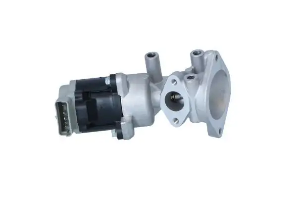 NRF 48602 EGR Valfi resmi