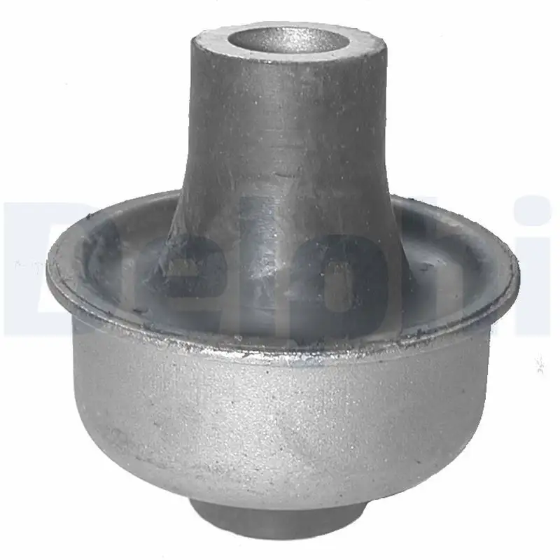 DELPHI TD309W Salıncak Burcu resmi