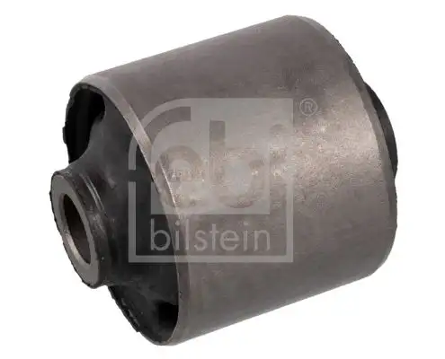 FEBI 10291 Salıncak Burcu 513199 resmi