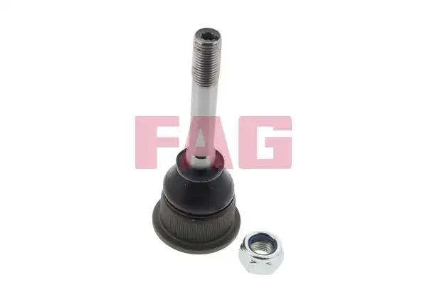 FAG 825004610 Alt Rotil 31121139131 resmi