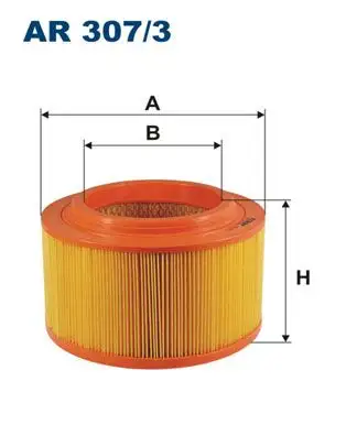 FILTRON AR307/3 Hava Filtresi resmi