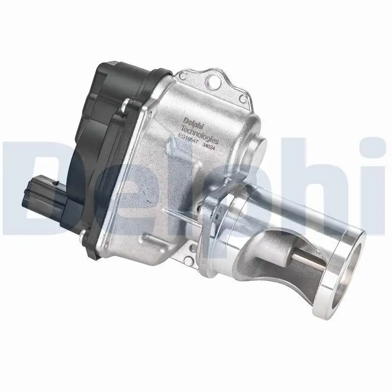 DELPHI EG10547-12B1 EGR Valfi resmi