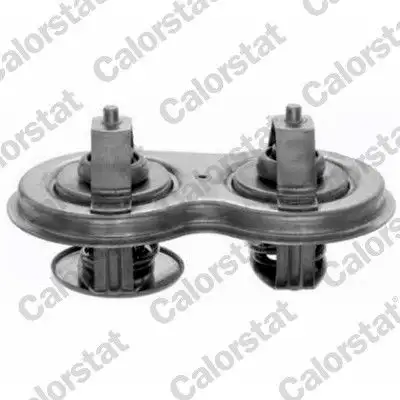 CALORSTAT VERNET TH7106.83J Termostat resmi