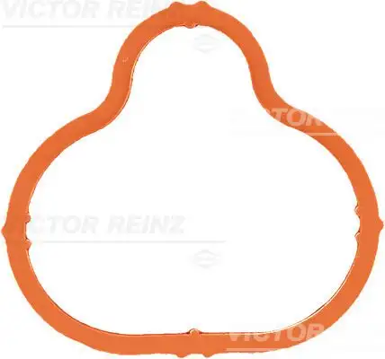 VICTOR REINZ 71-34266-00 Emme Manifold Contası 849515 resmi
