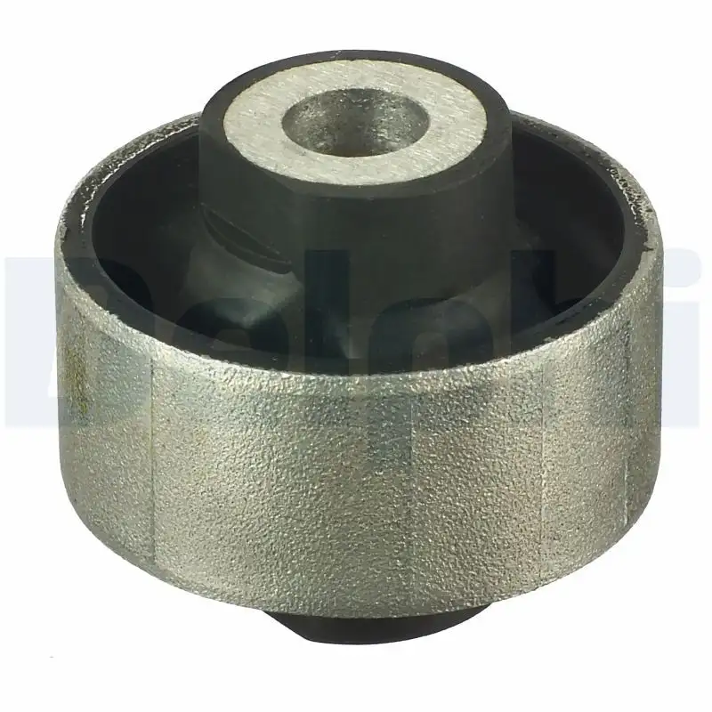 DELPHI TD1027W Salıncak Burcu resmi