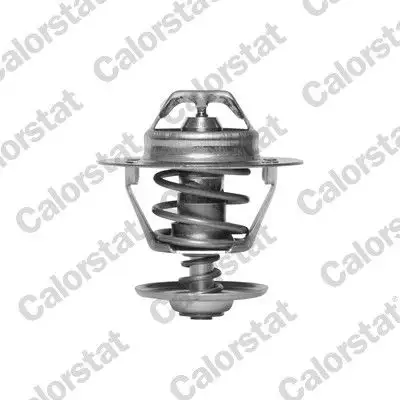 CALORSTAT VERNET TH6293.82J Termostat 2550022200 resmi